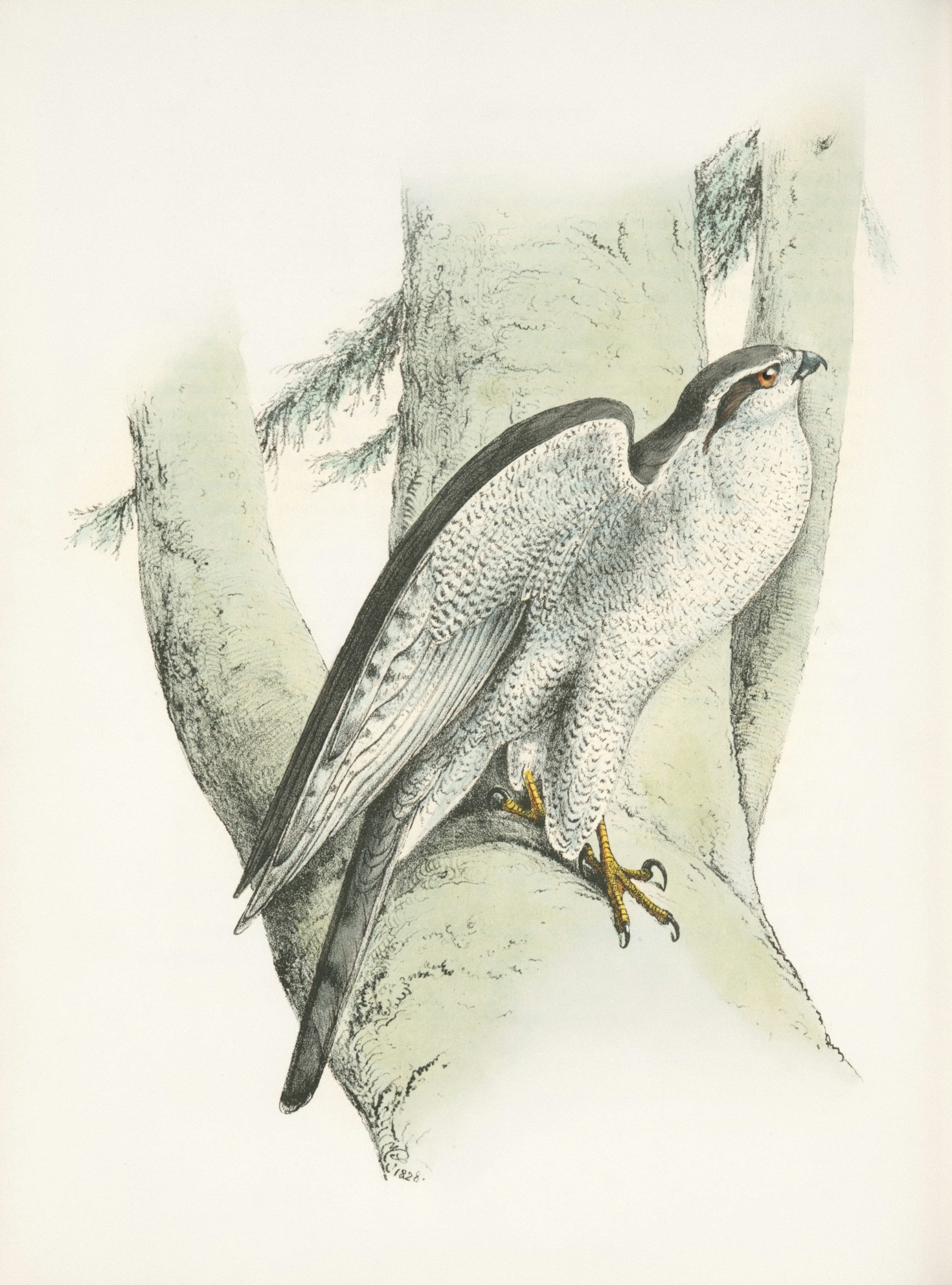 Nomadic Innovations: Contributions to Civilization