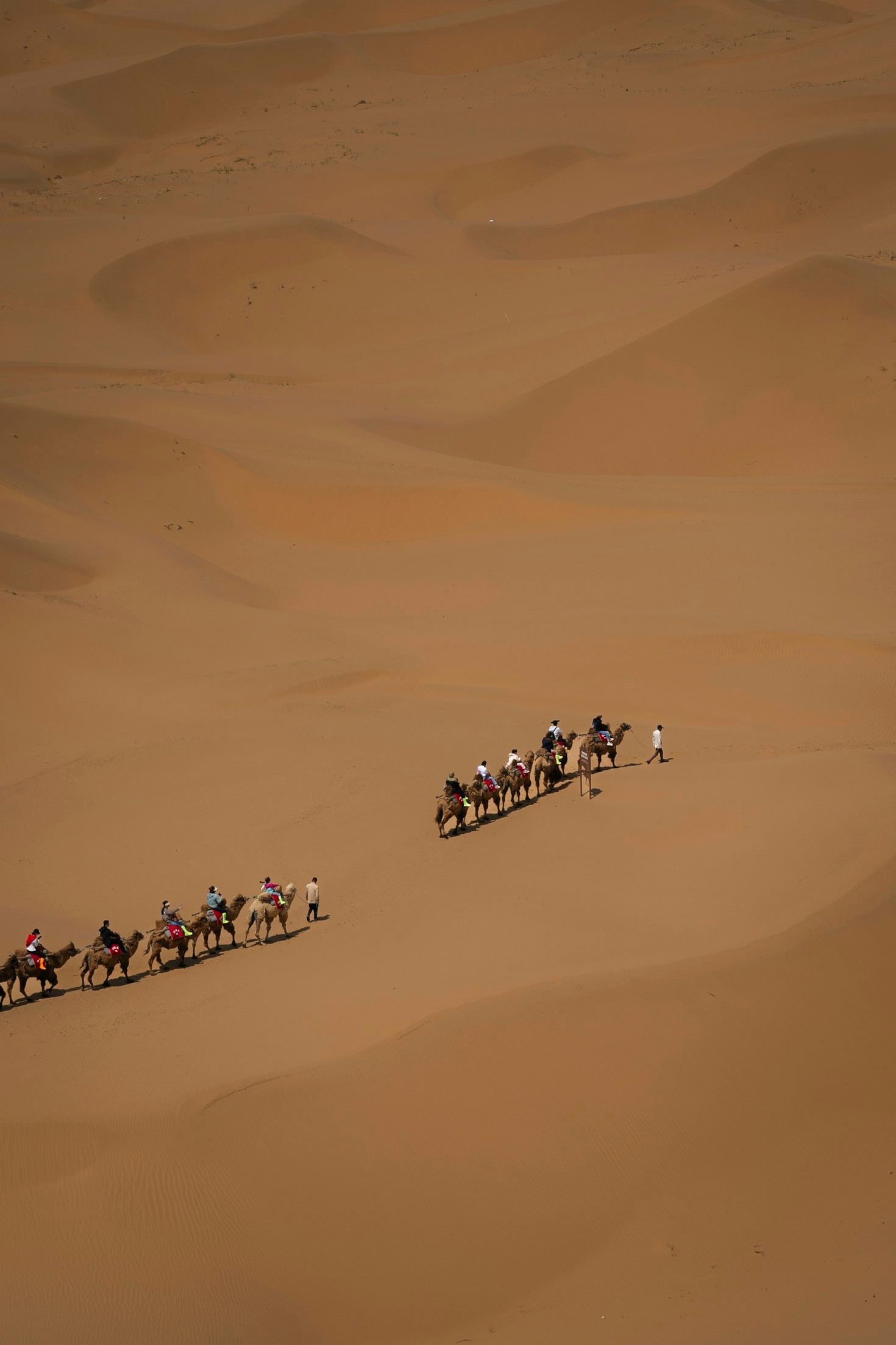 The Enduring Legacy of Nomadic Peoples in Eurasian Culture