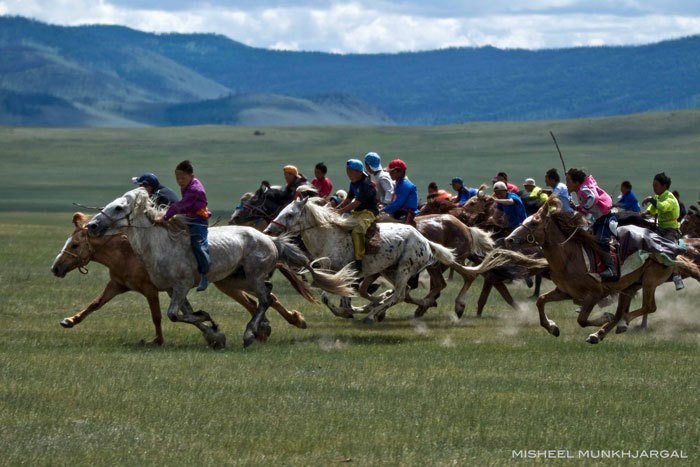 horse flicker 004 150408 116734903